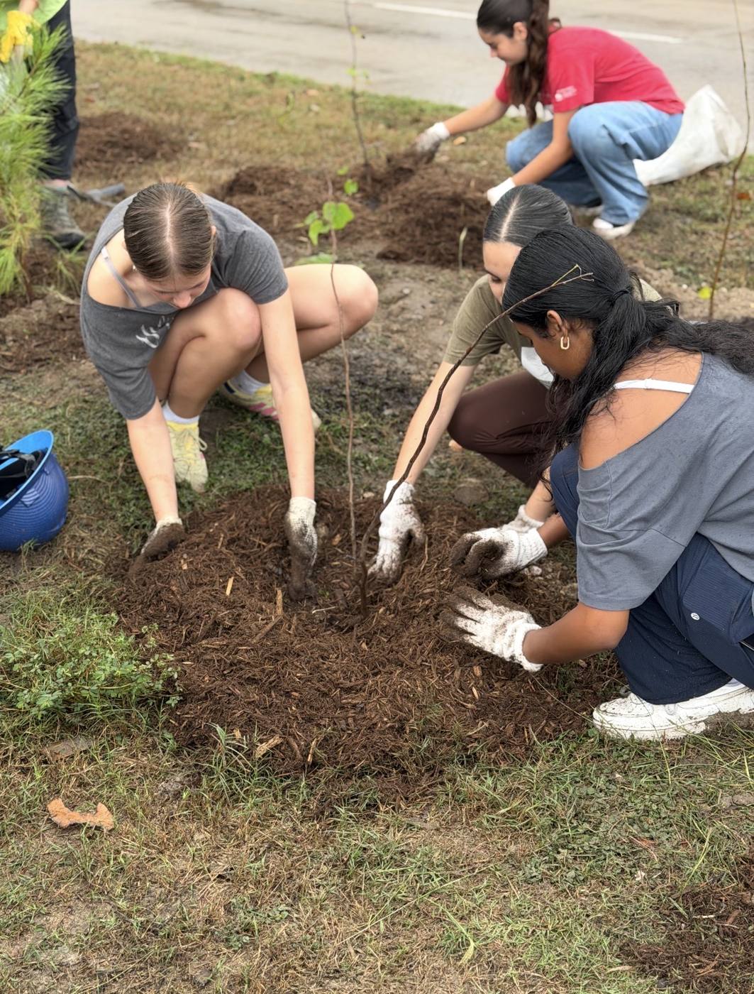 Volunteers planting a tree on an Alief esplanade