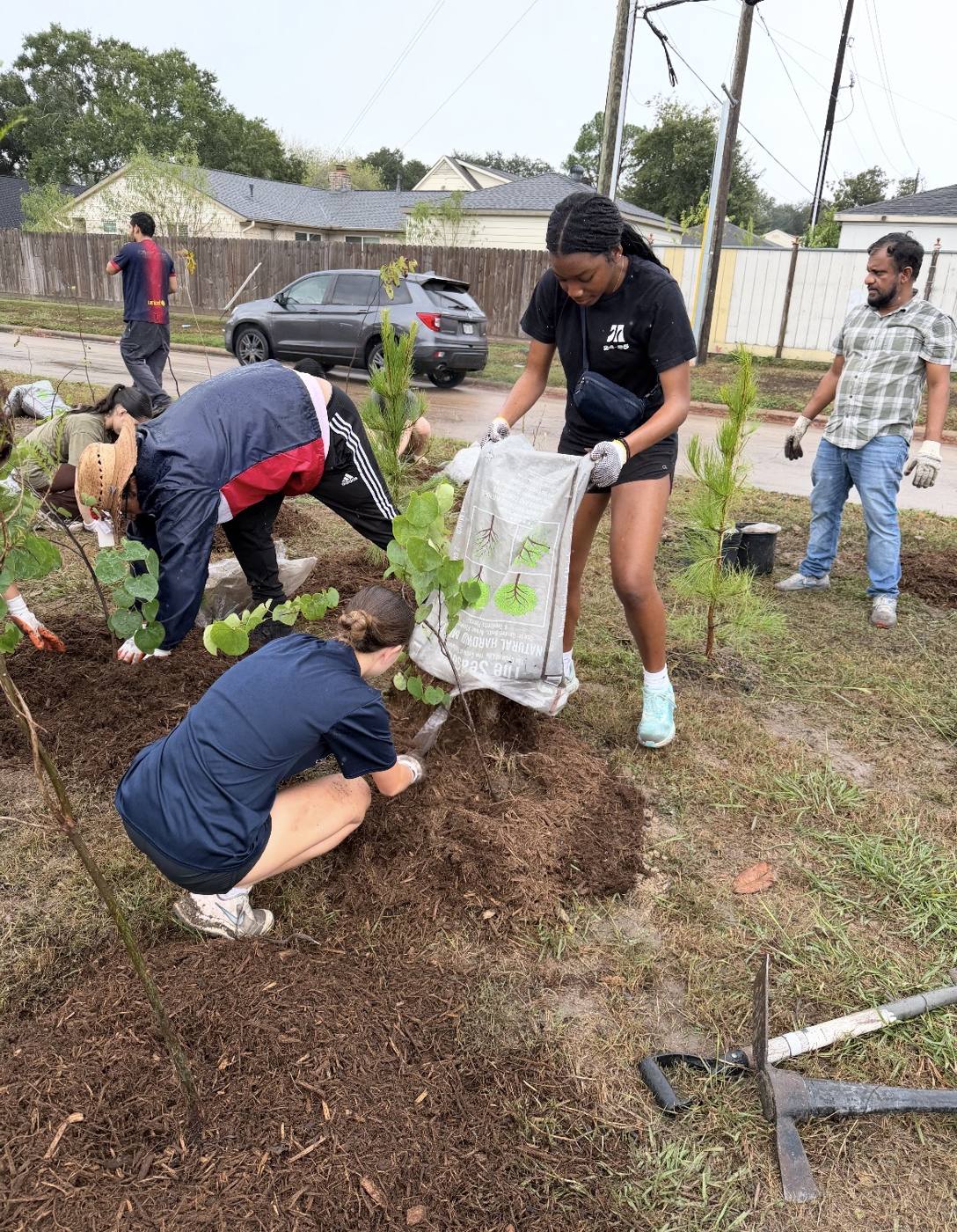 Volunteers digging and planting a tree on an Alief esplanade