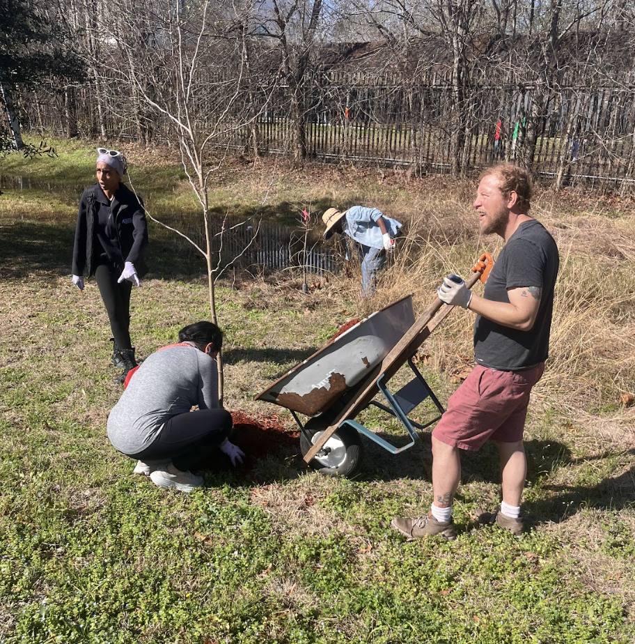 Volunteers spreading mulch at the Tree Care Day
