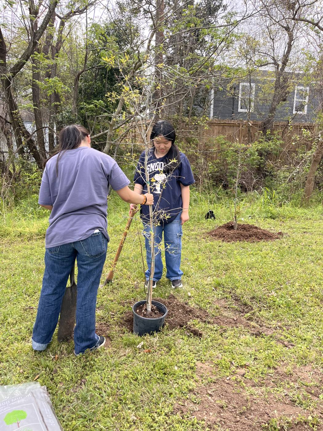 Volunteers planting a sapling along the trail