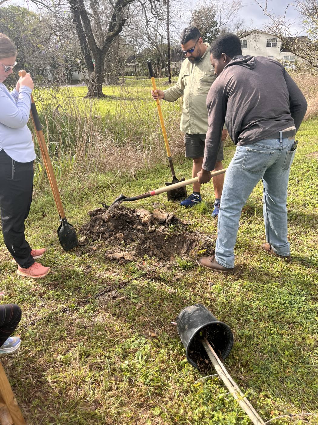 Volunteers digging holes for new trees