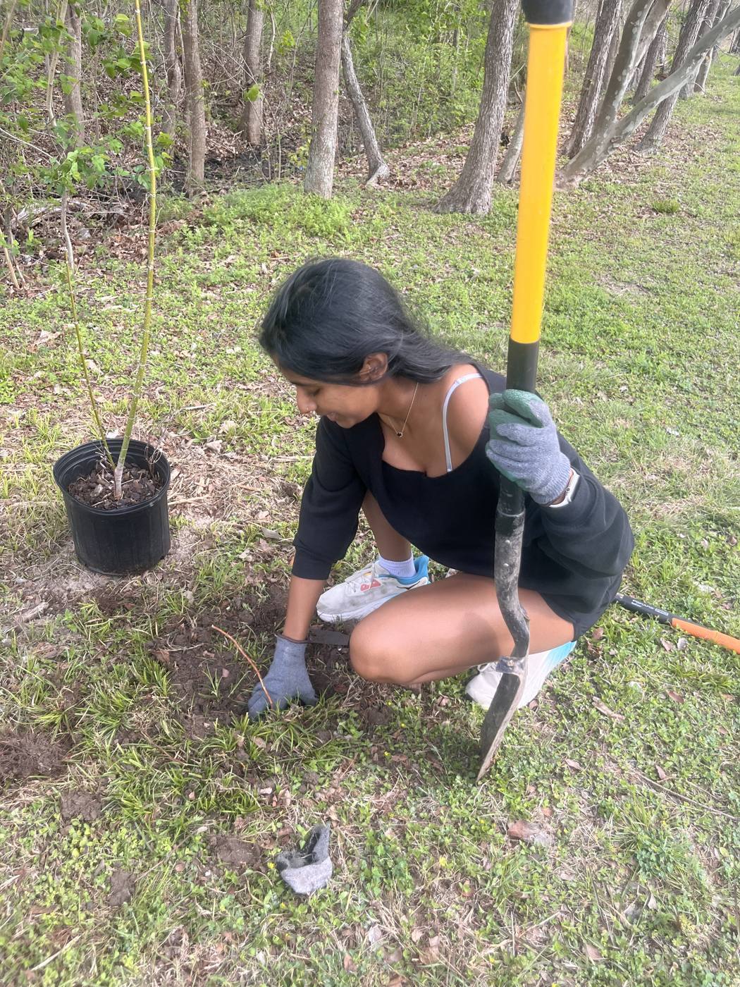 Neha Ravi getting a tree ready to plant