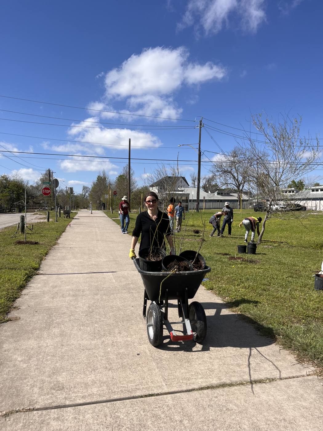 Volunteer hauling mulch in a wheelbarrow along the trail