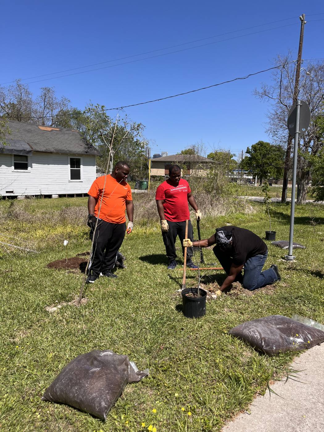 Volunteers planting trees along a residential street