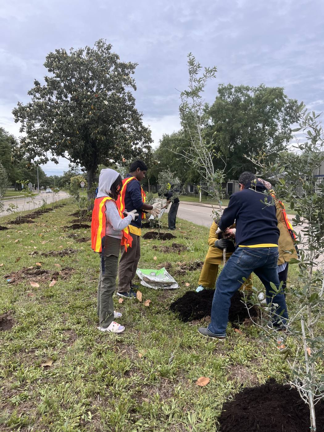 Volunteers in safety vests planting trees